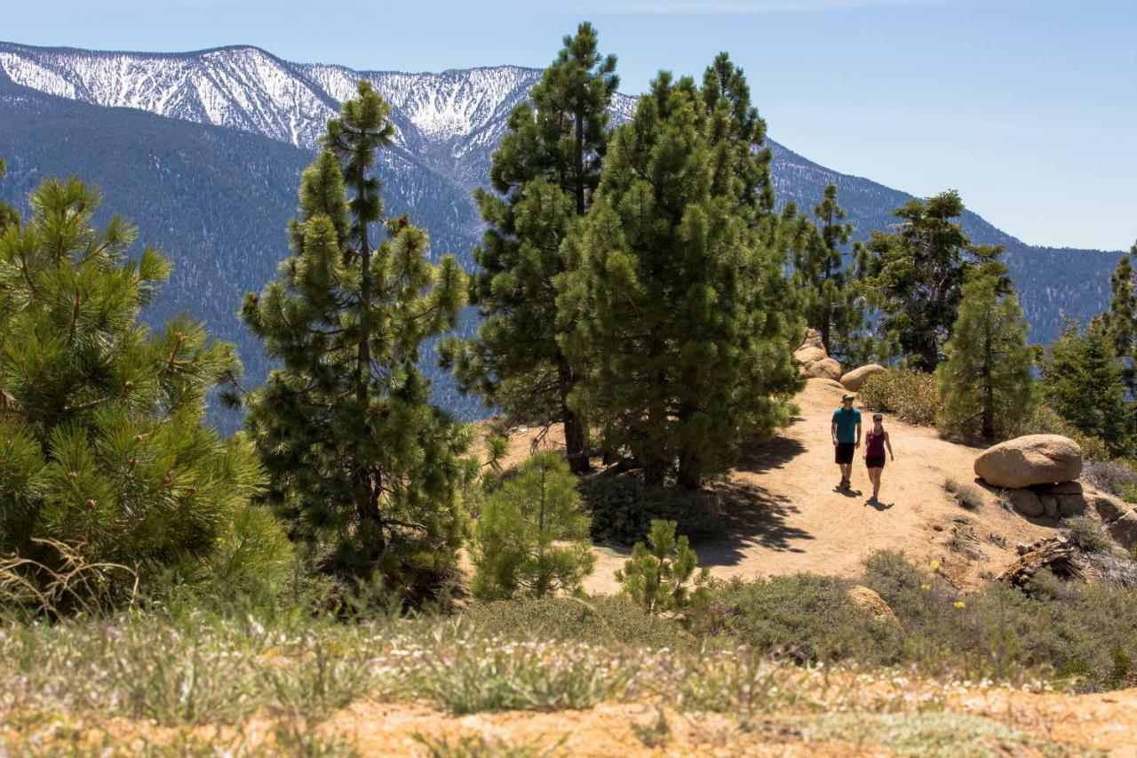 Honey Bear Lodge & Cabins Big Bear Lake Dış mekan fotoğraf