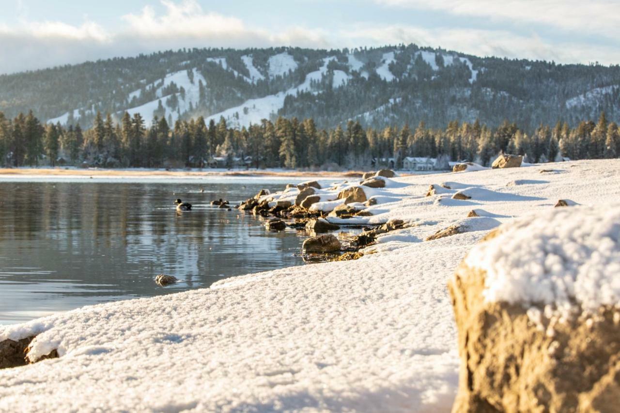 Honey Bear Lodge & Cabins Big Bear Lake Dış mekan fotoğraf